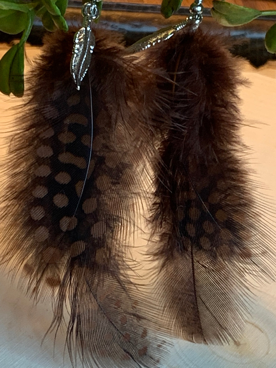 Brown Feathers